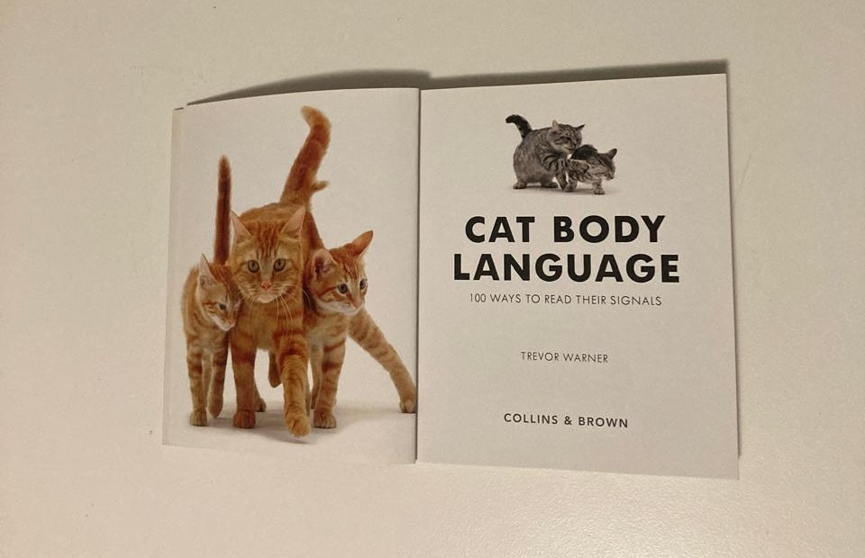 Cat body language: 100 ways to read their signals - Trevor Warner