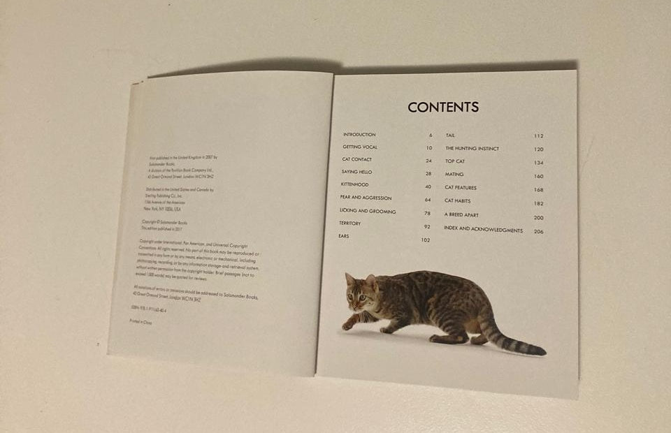 Cat body language: 100 ways to read their signals - Trevor Warner