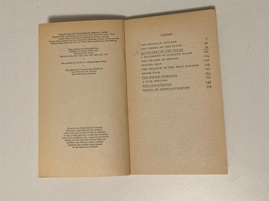 The Prussian officer and other other stories - D.H. Lawrence