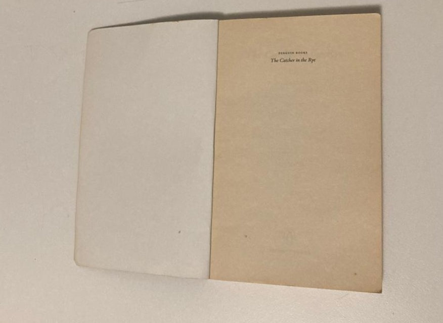 The catcher in the rye - J.D. Salinger