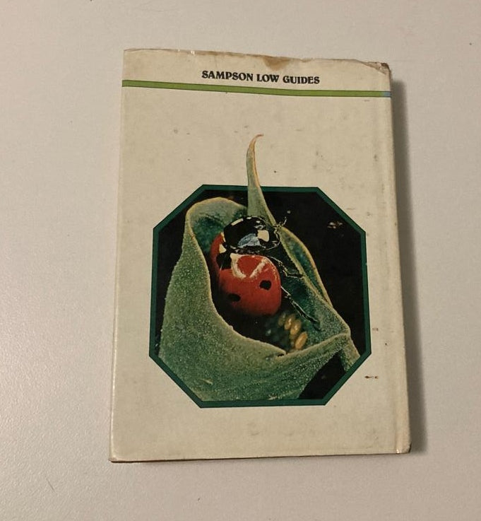 The world of insects - Adriano Zanetti (Sampson Low Guides)