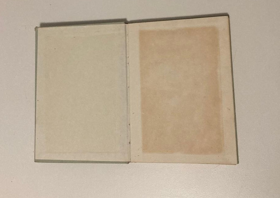 Blou en grys: ’n Keur van Nederlandse kortverhale - F.E.J. Malherbe