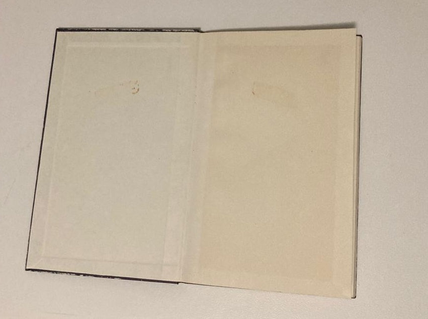 Naggesprek - W.E.G. Louw (First edition)