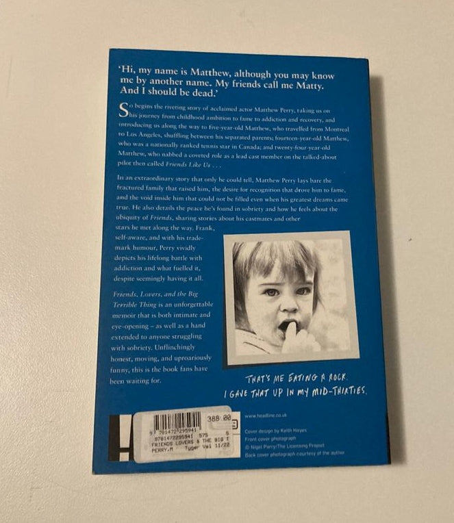 Friends, lovers, and the big terrible thing - Matthew Perry (First edition)