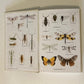 A field guide to the insects of Britain and Northern Europe - Michael Chinery