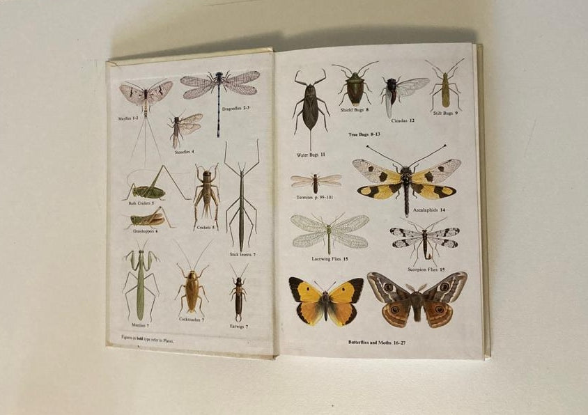 A field guide to the insects of Britain and Northern Europe - Michael Chinery