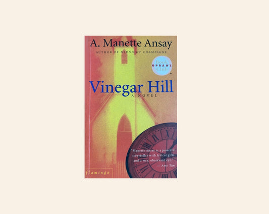 Vinegar hill - A. Manette Ansay