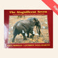 The magnificent seven and the other great tuskers of the Kruger National Park - Paul Bosman and Anthony Hall-Martin (Rare)