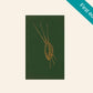 Africa's wild glory - W. Phillip Keller (First edition)