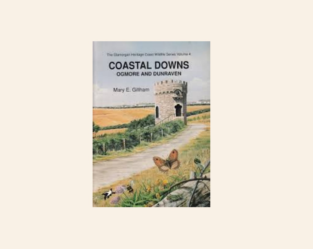 Coastal downs: Ogmore and Dunraven - Mary E. Gillham