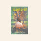 Klawervier - Annelie Botes