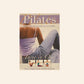 Pilates: Improve strength, flexibility and core stability - Hinkler Books