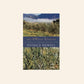 The olive grove - Patrice Newell