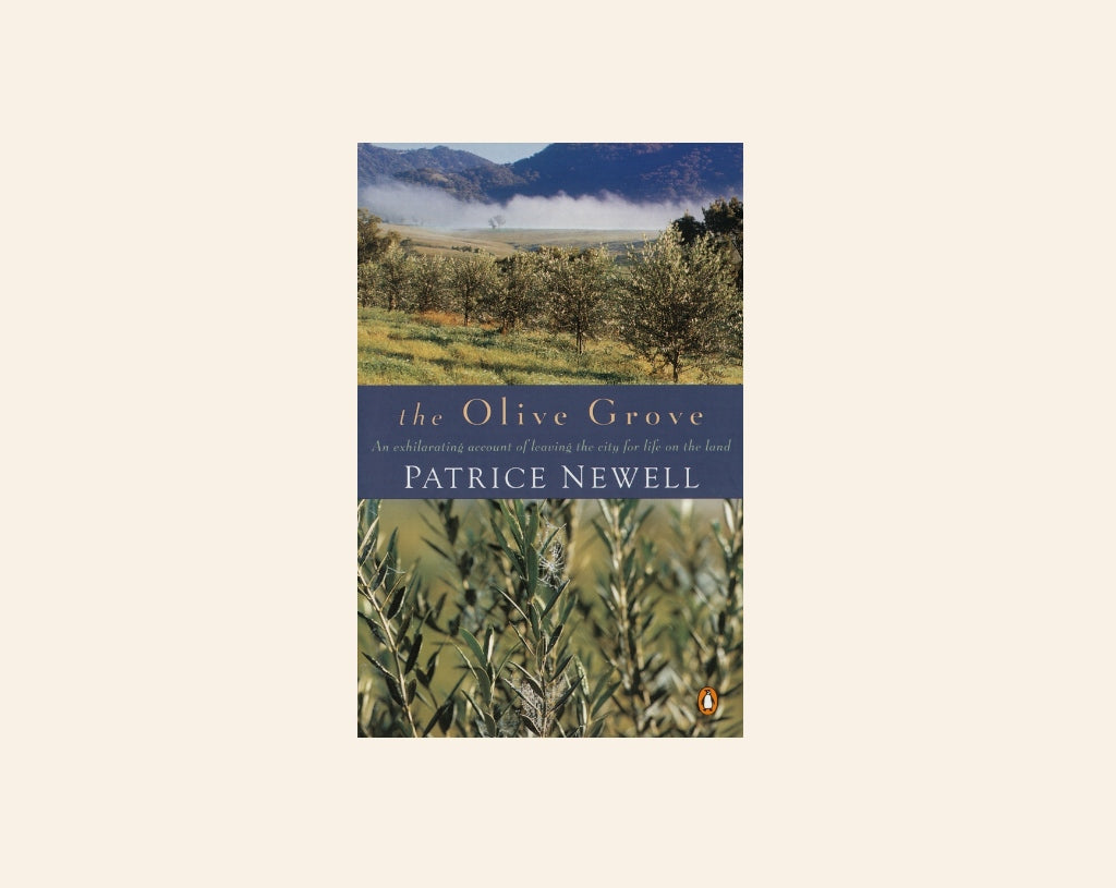 The olive grove - Patrice Newell