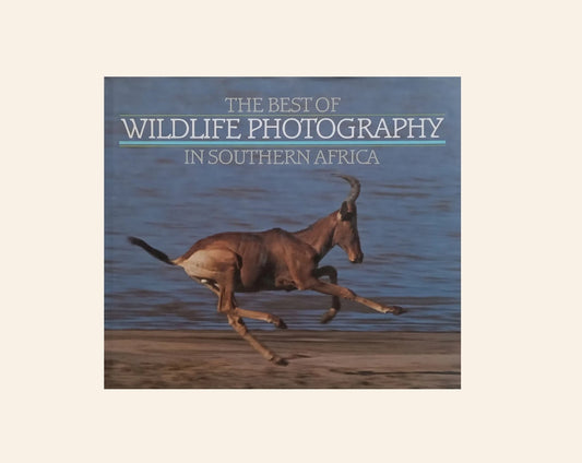 The best of wildlife photography in Southern Africa