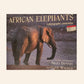 African elephants: A photographic celebration - Nigel Dennis (Photographer) and Clive Walker (Text)