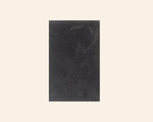 Forbidden - Roberta Latow