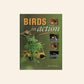 Birds in action - Phil Hockey