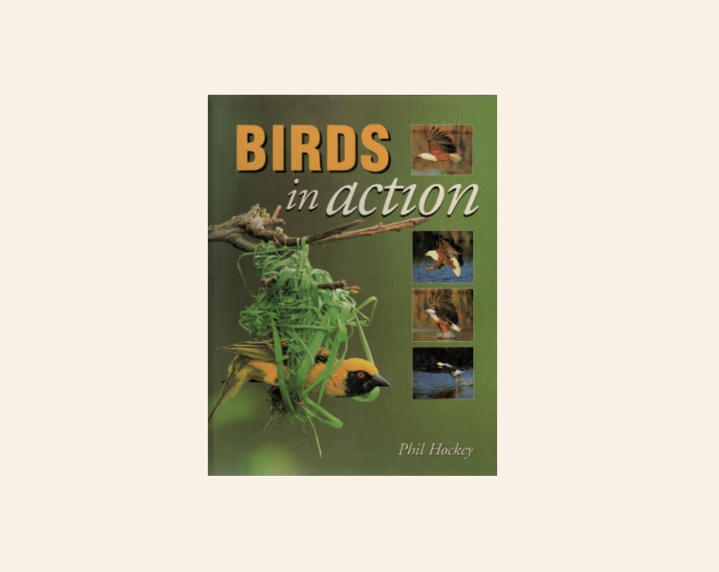 Birds in action - Phil Hockey