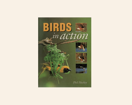 Birds in action - Phil Hockey