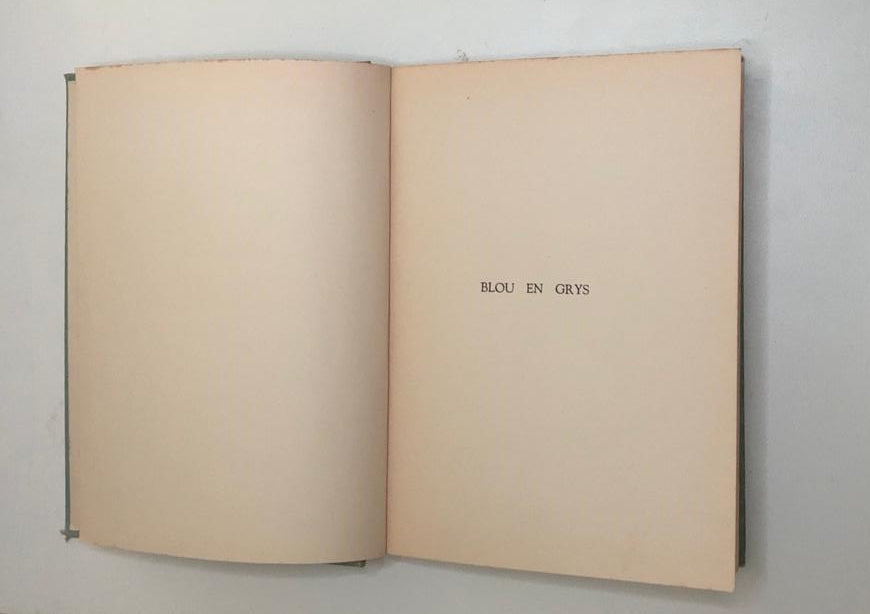 Blou en grys - F.E.J. Malherbe