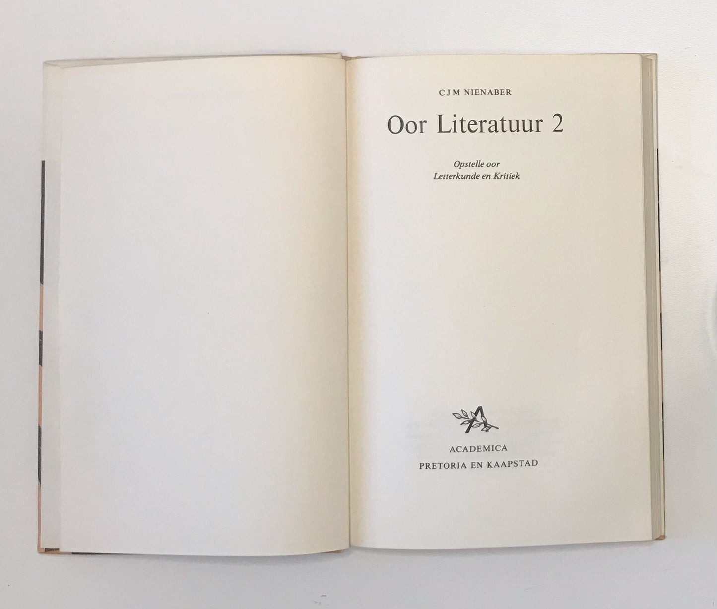 Oor literatuur 2 - C.J.M Nienaber
