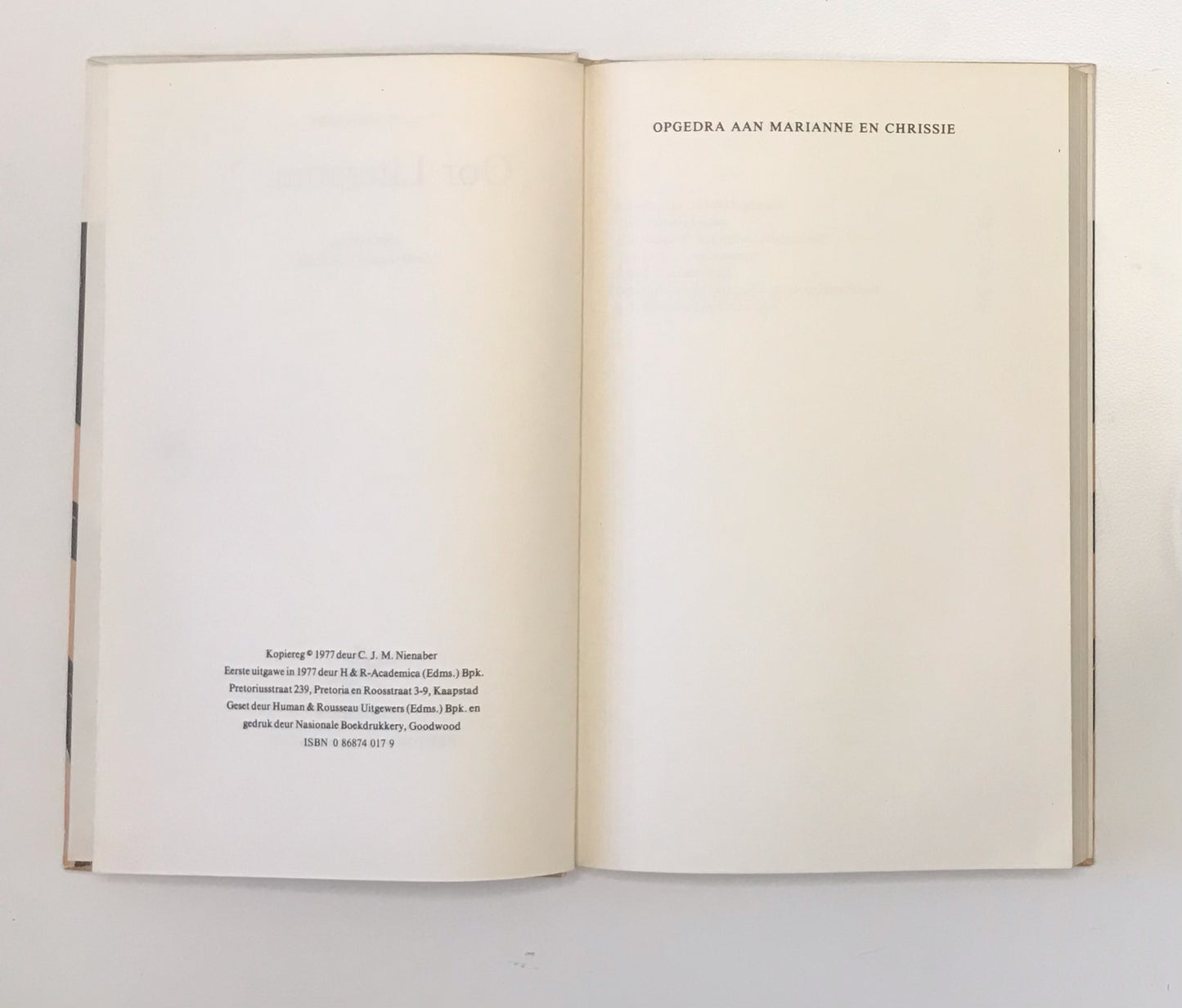 Oor literatuur 2 - C.J.M Nienaber