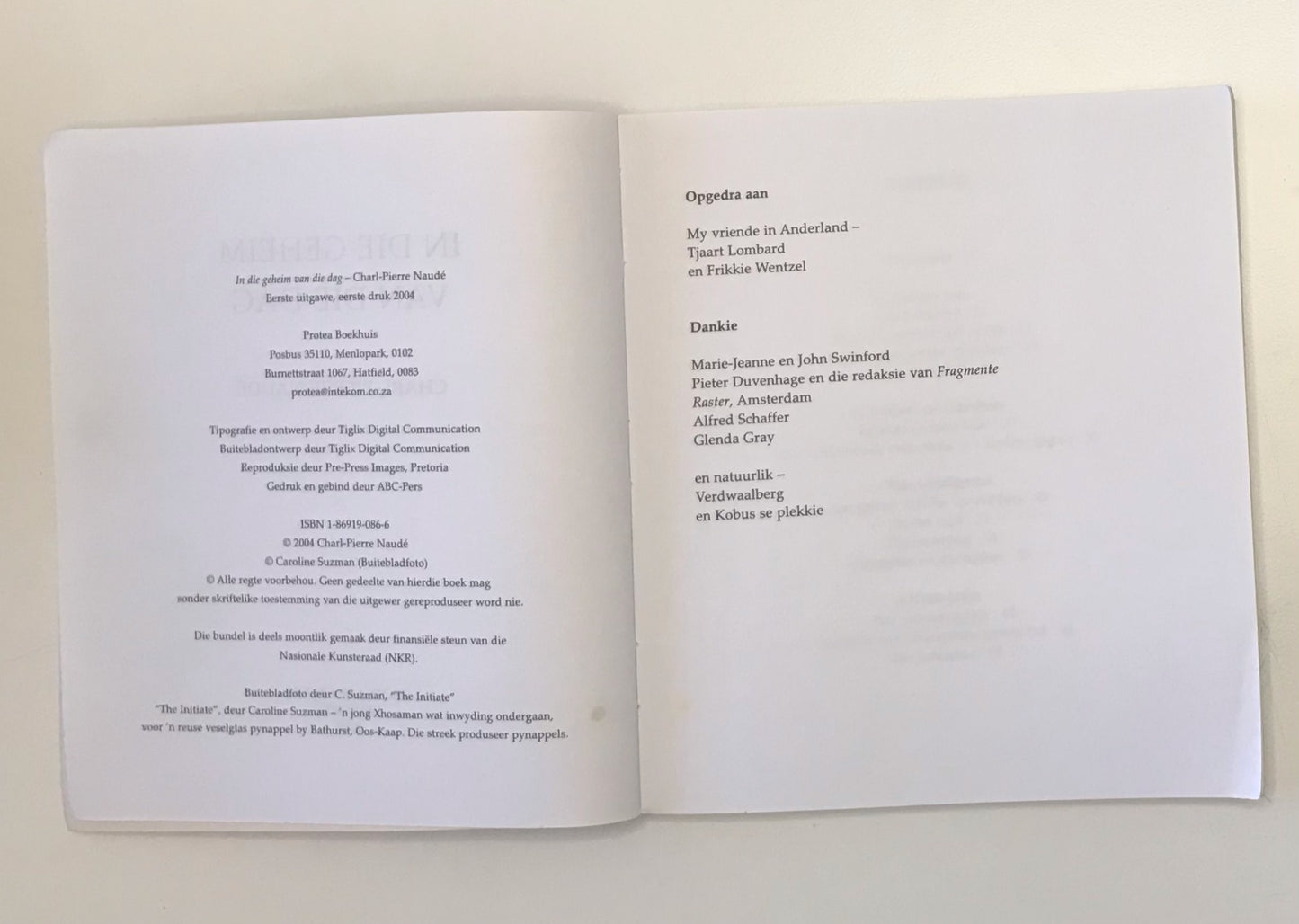 In die geheim van die dag - Charl-Pierre Naudé